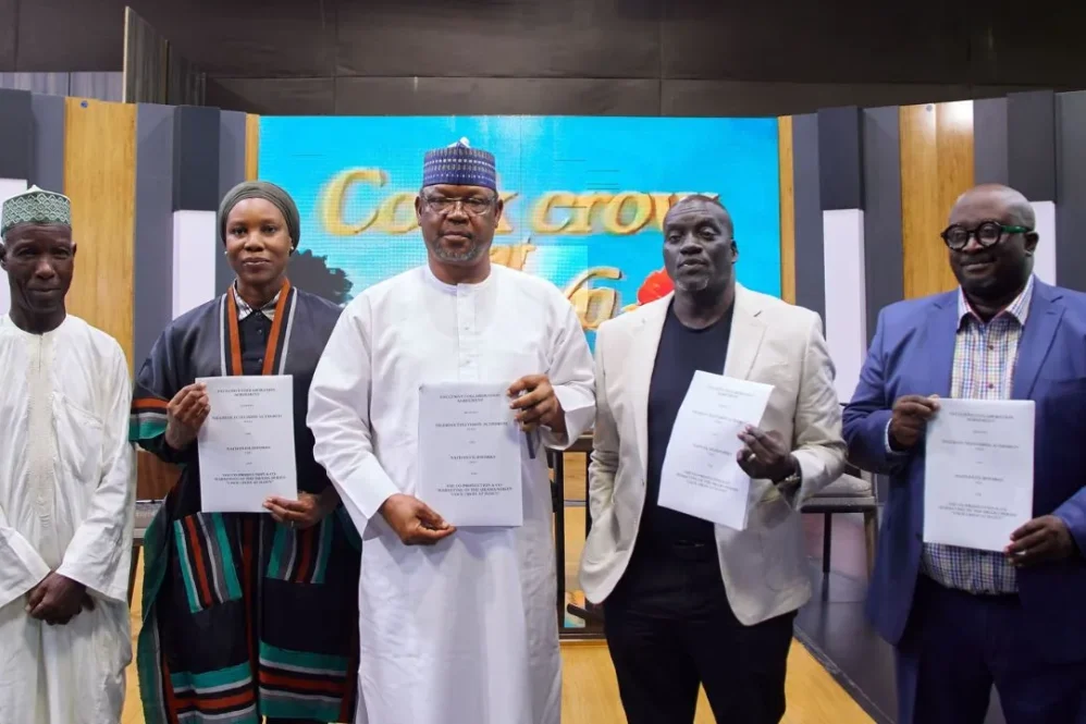 NTA to Revive Classic Series ‘Cock Crow at Dawn’ in 2026