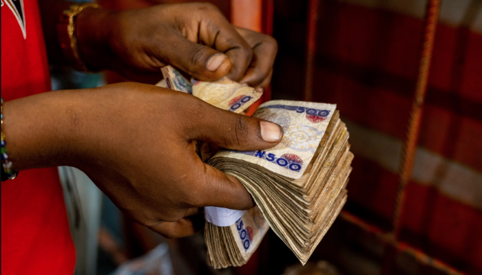 Naira Posts Strongest Rally Since January