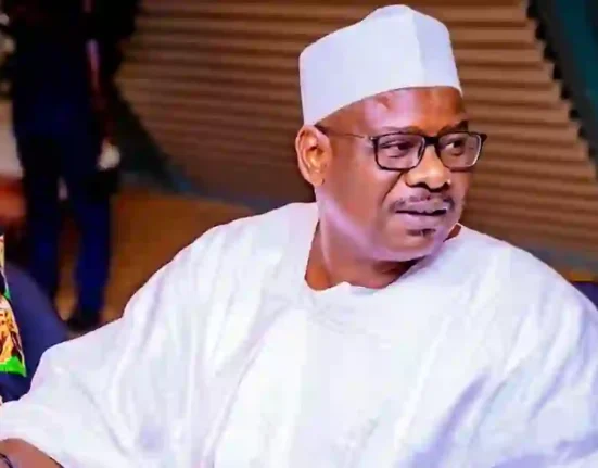 Senator Ndume Clarifies Senate’s Role in Ministerial Vetting