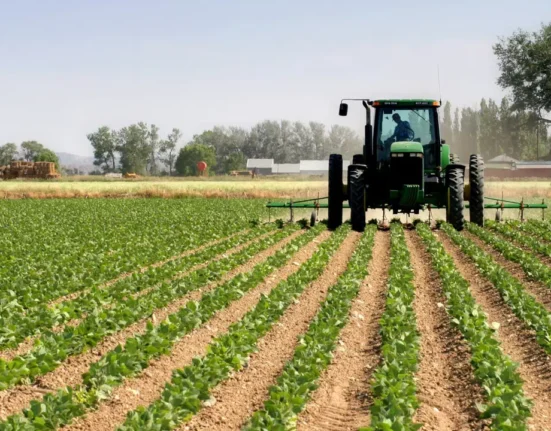 EU Boosts Nigeria’s Agricultural Financing with ₦320bn Credit Facility