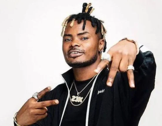 Senate Raises Customs 2025 Revenue Target to ₦10 Trillion