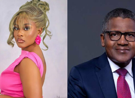 Phyna Accuses Dangote Group of Negligence Over Sister’s Death