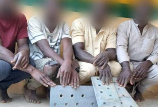 Security Operatives Foil Attempt to Vandalise Power Towers in Kaduna