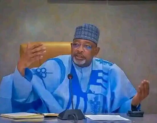 Nigeria Loses Over $10 Billion Annually to Poor Storage, Says Agriculture Minister