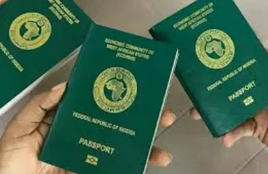 New Immigration Reforms Not Punitive, Nigeria Assures Expatriates 