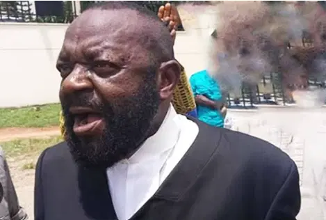 Presidency criticises Kanu’s lawyer for joining #FreeNnamdiKanu protest