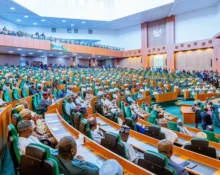 House of Reps Flags 1,894 Unmanned Borders as Security Threat