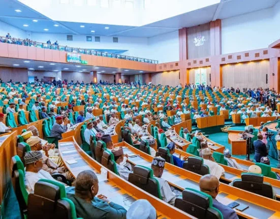 House of Reps Flags 1,894 Unmanned Borders as Security Threat