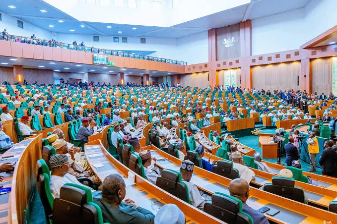 House of Reps Flags 1,894 Unmanned Borders as Security Threat