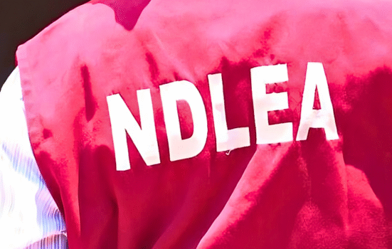 NDLEA Busts Lagos Opioid Cartel, Seizes Drugs Worth ₦6.7bn