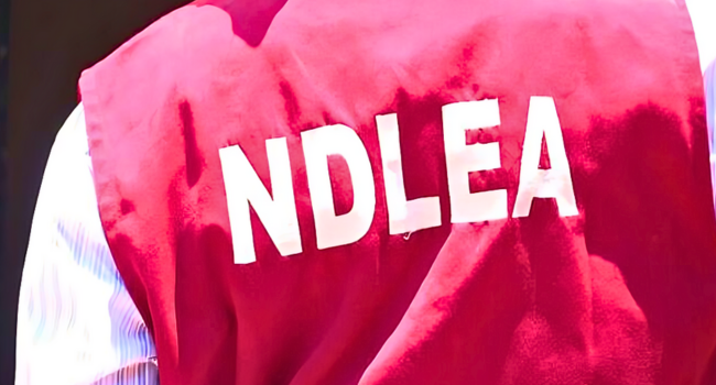 NDLEA Busts Lagos Opioid Cartel, Seizes Drugs Worth ₦6.7bn