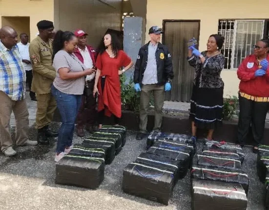 NDLEA, US, UK Probe ₦338bn Cocaine Seizure at Lagos Port