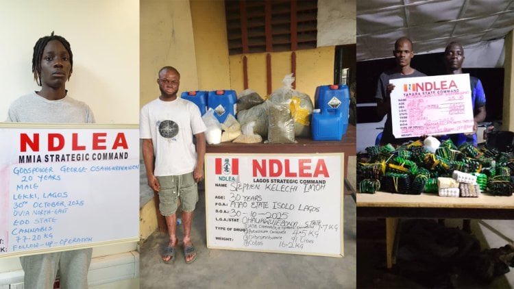 NDLEA Uncovers Synthetic Cannabis Lab in Lagos Home