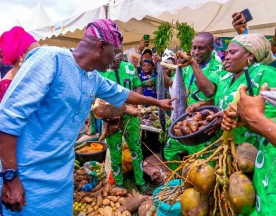 Lagos Introduces 25% Food Subsidy to Ease Festive Season Hardship
