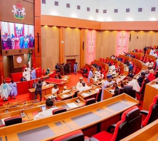 National Assembly Approves 14-Year Jail Term for Lecturers Convicted of Sexual Harassment