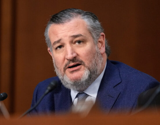 US Senator Ted Cruz Backs Trump’s Designation of Nigeria as Country of Particular Concern