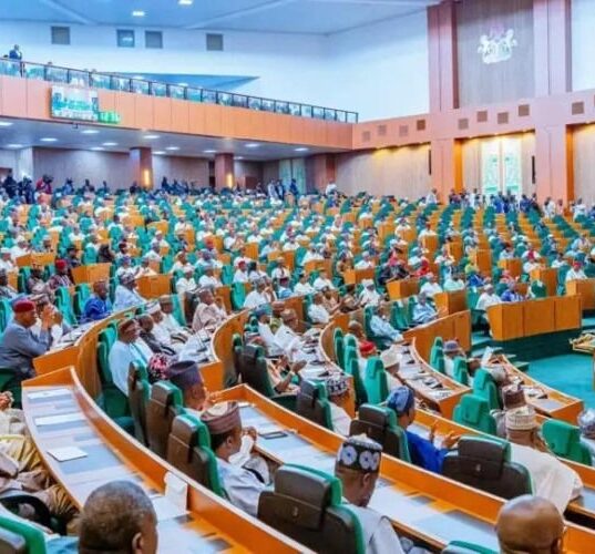 Rowdy Scenes in House as Lawmakers Clash Over Lagos Trade Fair Land Probe