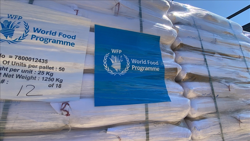 World Food Programme Warns of Global Hunger Surge as Funding Falls Sharply