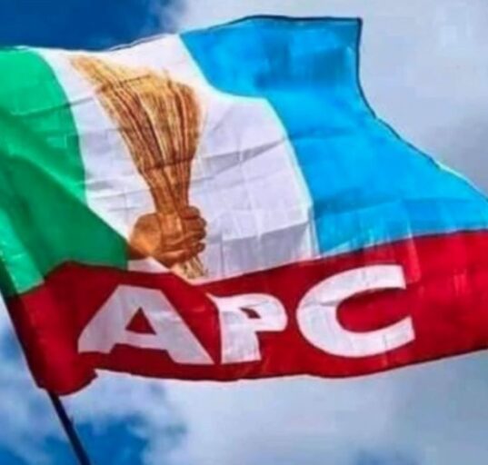 APC Wins All 25 Councils in Niger State Local Government Elections