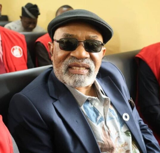 Court orders Ngige to remain in Kuje prison as bail ruling is adjourned