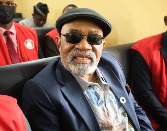 Court orders Ngige to remain in Kuje prison as bail ruling is adjourned