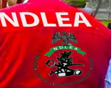 Suspected supplier of drugs to bandits arrested by NDLEA