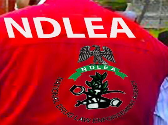 Suspected supplier of drugs to bandits arrested by NDLEA