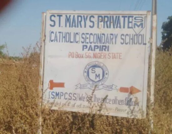 NSA Confirms Niger Schoolchildren Abducted Are Alive, Will Return Soon