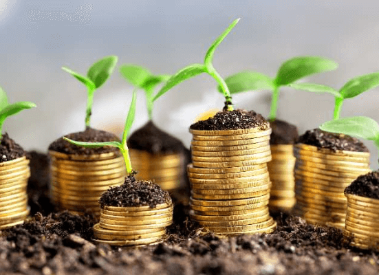 New Biodiversity Financing Plan Targets $500 Billion Nature-Loss Challenge