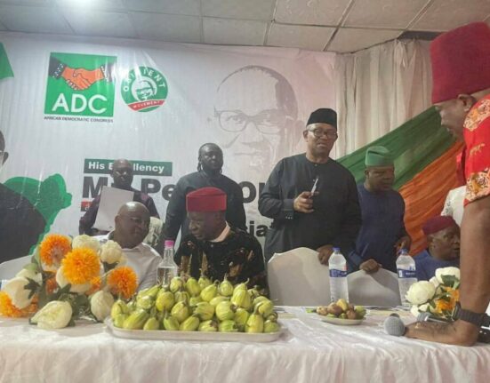 Peter Obi, Other South-East leaders defect to ADC in Enugu
