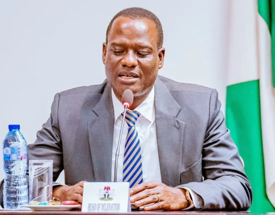 FG to forfeit N1.4 trillion in 2026 with corporate tax cut, says Oyedele