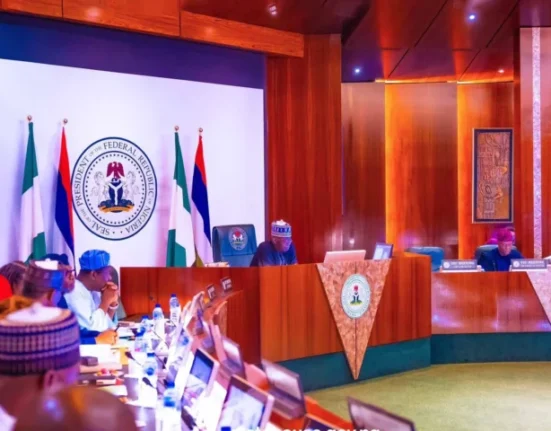 FEC Approves $100m AfDB Loan for Youth Investment Fund