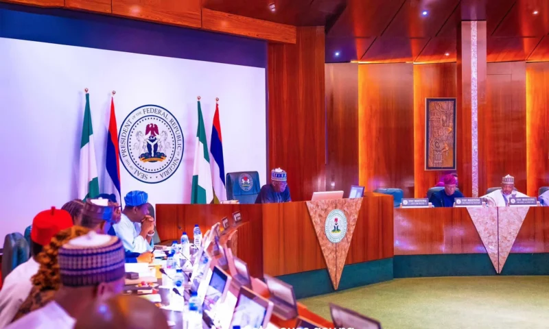 FEC Approves $100m AfDB Loan for Youth Investment Fund