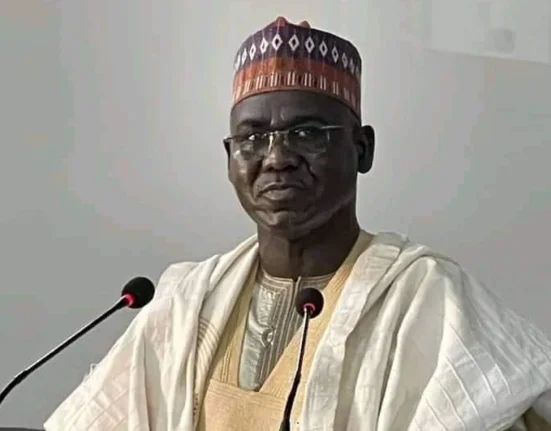 Using Soldiers for Internal Security Weakens Police, Says Buratai