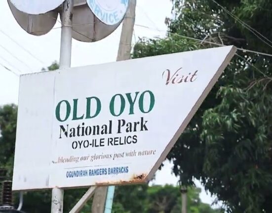 Five feared dead in attack on National Park Service office in Oyo 