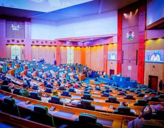 House of Reps Dismisses Minority Caucus Report on Tax Laws