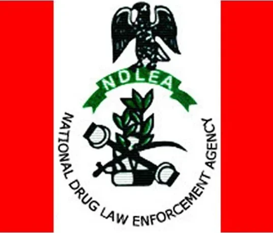 NDLEA Seizes 31.5kg Cocaine, Arrests 22 Indian Crew Members in Lagos 