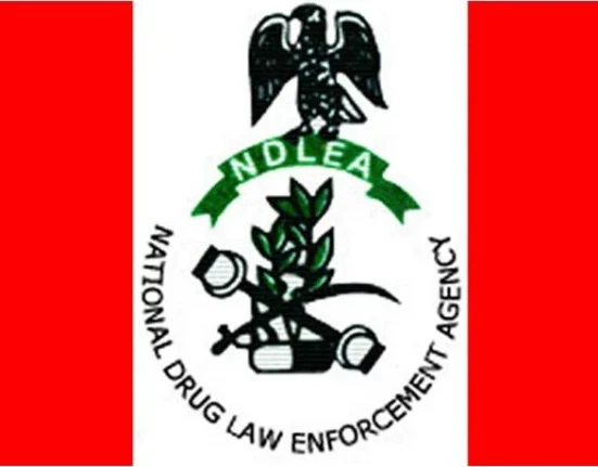 NDLEA Seizes 31.5kg Cocaine, Arrests 22 Indian Crew Members in Lagos 