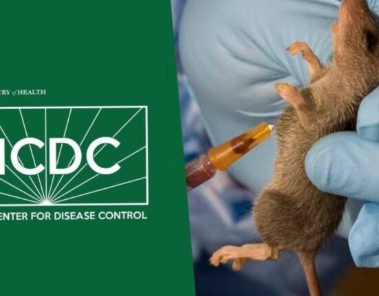 Nigeria records 206 Lassa fever deaths in 2025