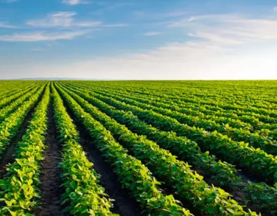 FG to Allocate 800 Billion Naira to Agro-Processing, Renewable Energy