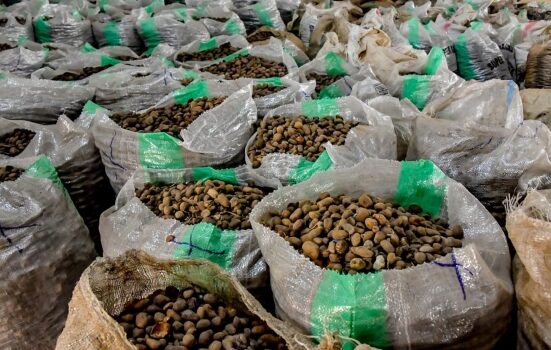 Federal Government Pledges to Review Shea Butter Export Policy