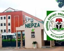 NEPZA urges EU to invest in Nigeria’s special economic zones