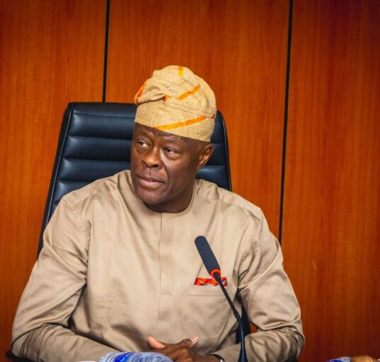 Nine Million Households Receive Cash Transfers, Says Wale Edun