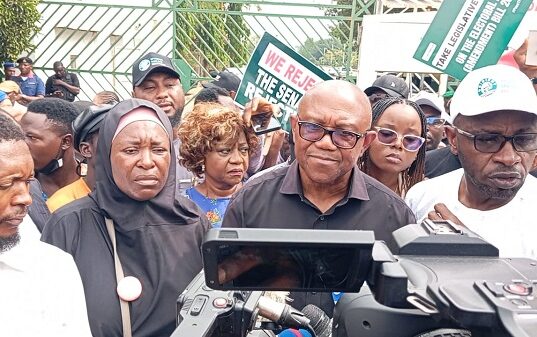 Peter Obi, Others Protest at National Assembly over election results transmission