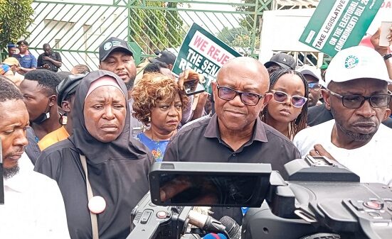 Peter Obi, Others Protest at National Assembly over election results transmission