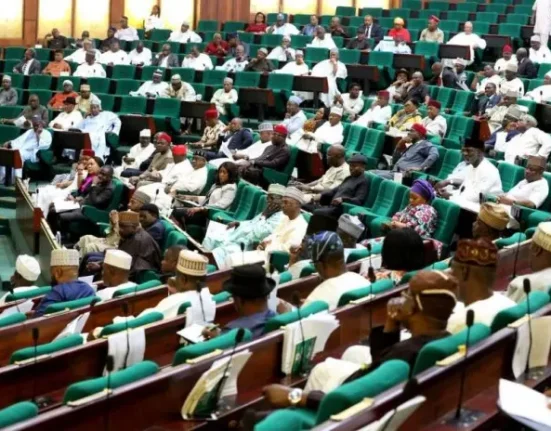 Reps Seek Dedicated Police Unit for Oil and Gas Downstream Protection