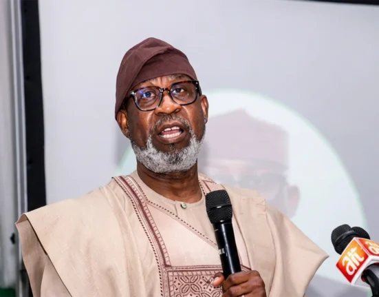 Solid Minerals Sector Key to $1tn Economy Plan, Says FG