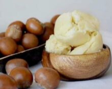 Tinubu Extends Raw Shea Nut Export Ban By One Year
