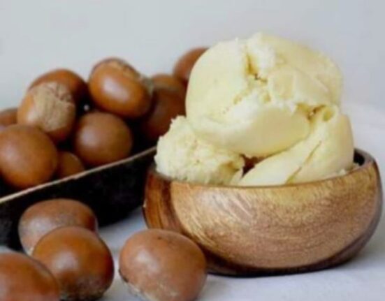 Tinubu Extends Raw Shea Nut Export Ban By One Year