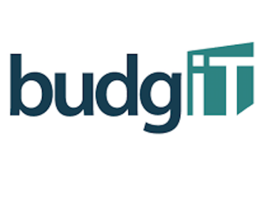 Budgit: Only 10 States Publish Accessible LGA Budgets